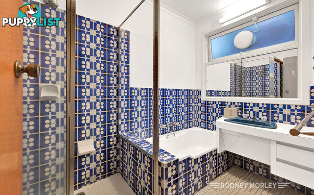 12A Crotonhurst Avenue Caulfield North VIC 3161