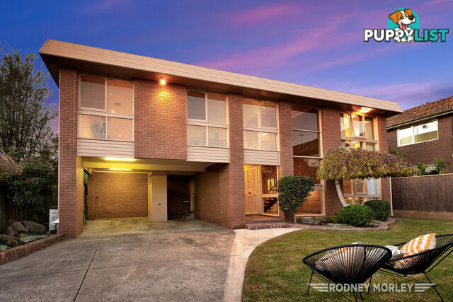 12A Crotonhurst Avenue Caulfield North VIC 3161