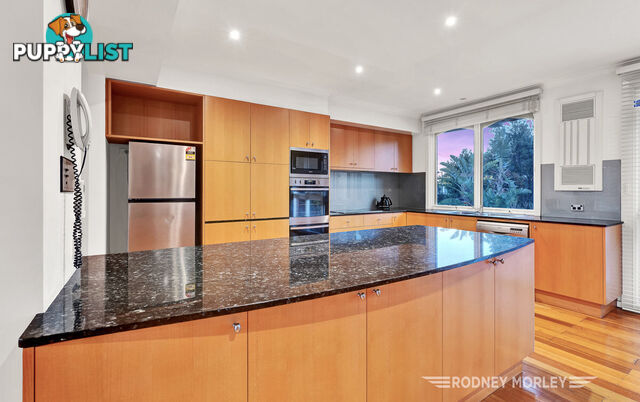 12A Crotonhurst Avenue Caulfield North VIC 3161
