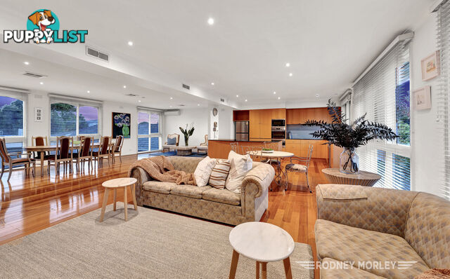 12A Crotonhurst Avenue Caulfield North VIC 3161