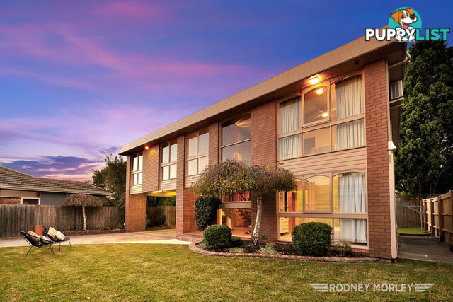 12A Crotonhurst Avenue Caulfield North VIC 3161