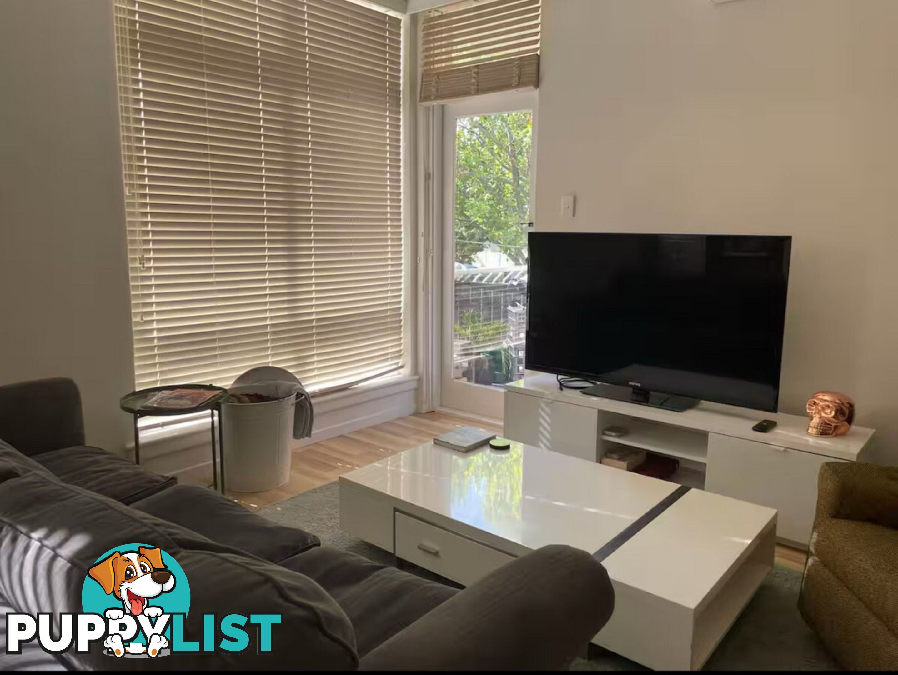 6 22B Crimea Street St Kilda VIC 3182