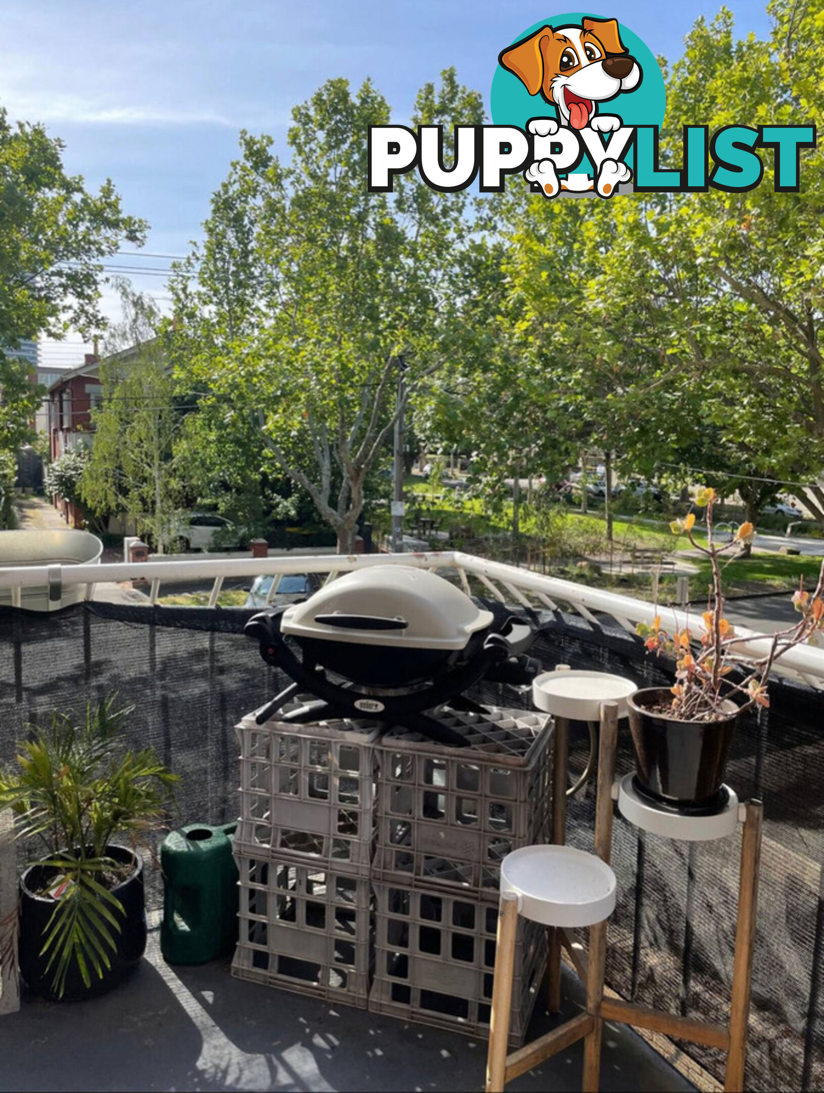 6 22B Crimea Street St Kilda VIC 3182