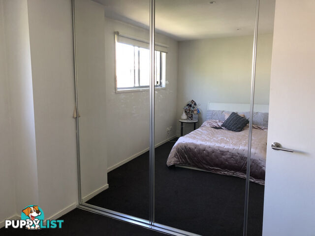 5 4 Lansdowne Road St Kilda East VIC 3183