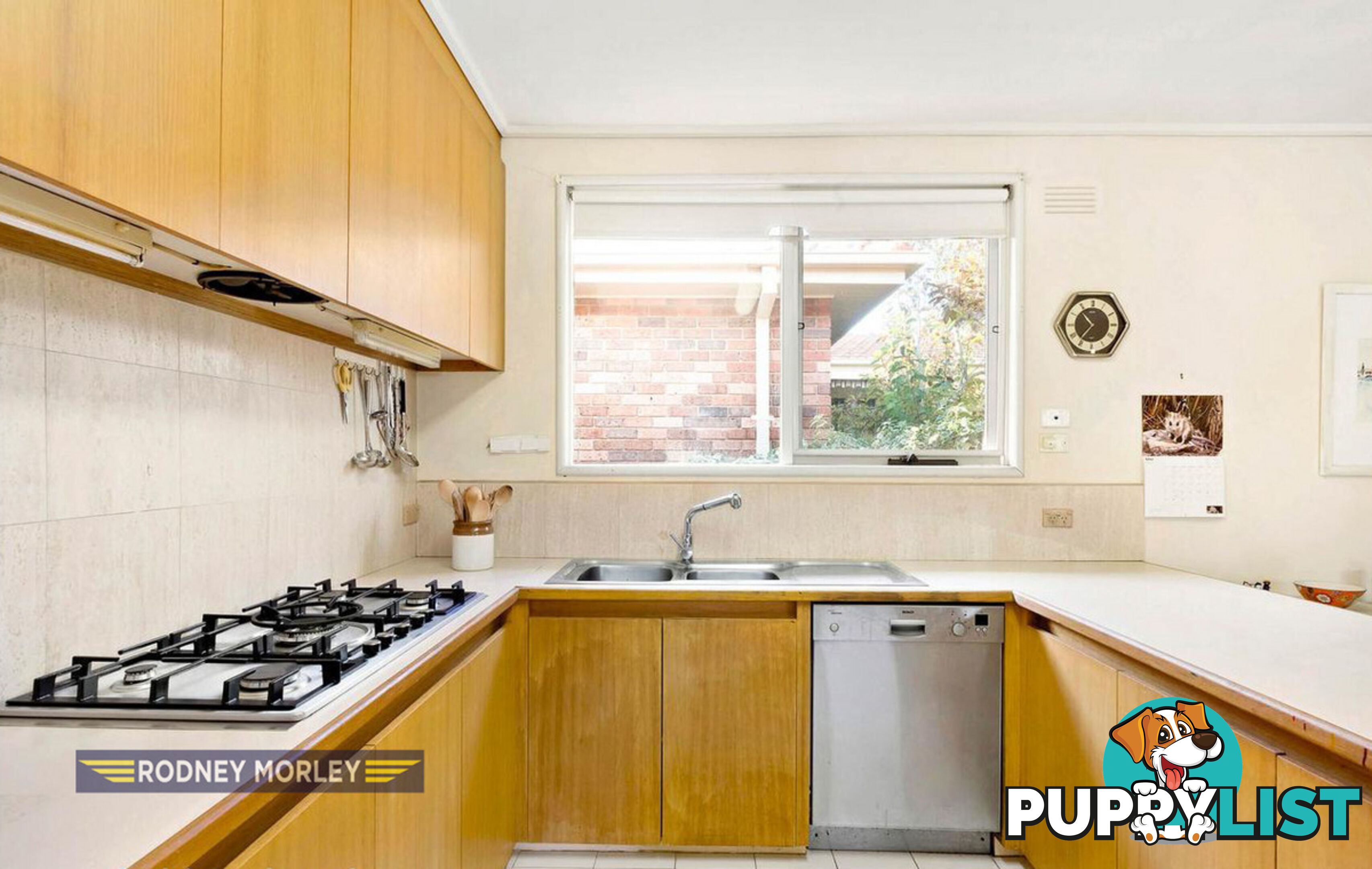 49 Northcote Avenue Caulfield North VIC 3161