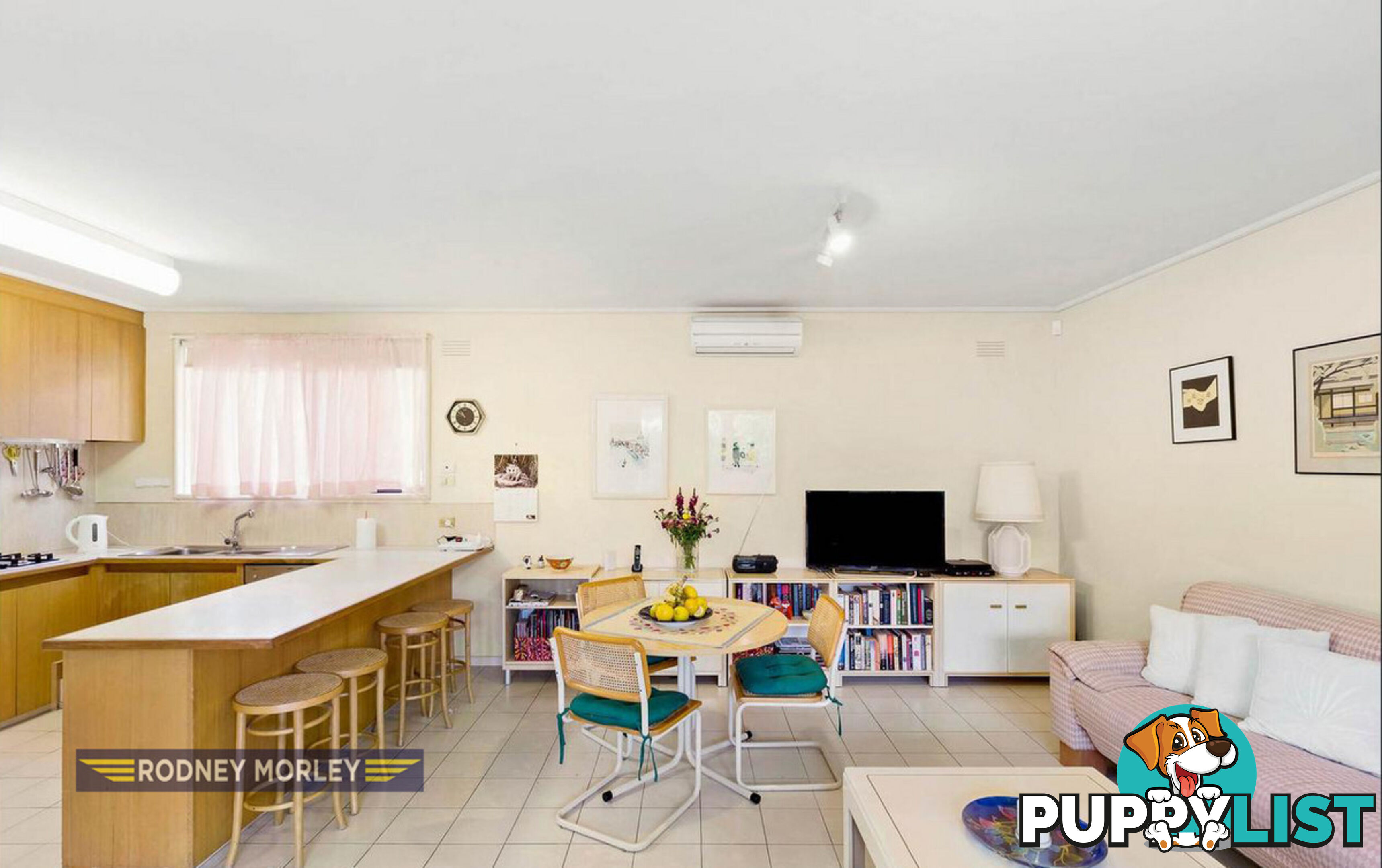 49 Northcote Avenue Caulfield North VIC 3161