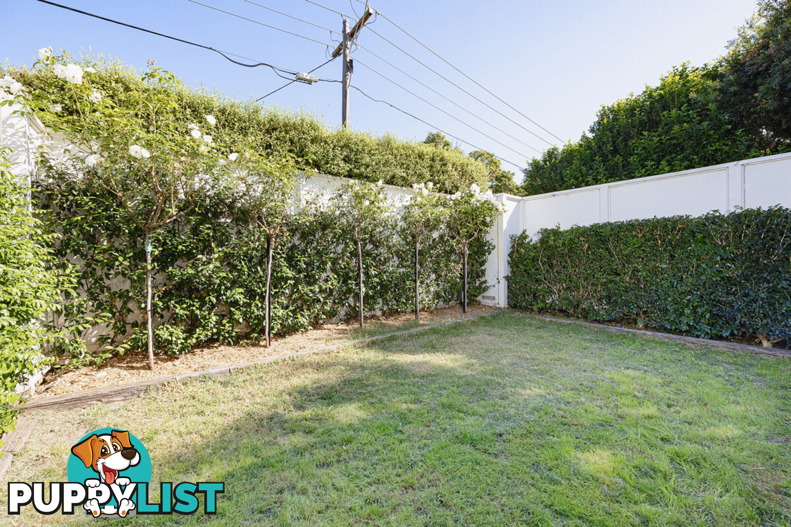 2 2A Lynedoch Avenue St Kilda East VIC 3183