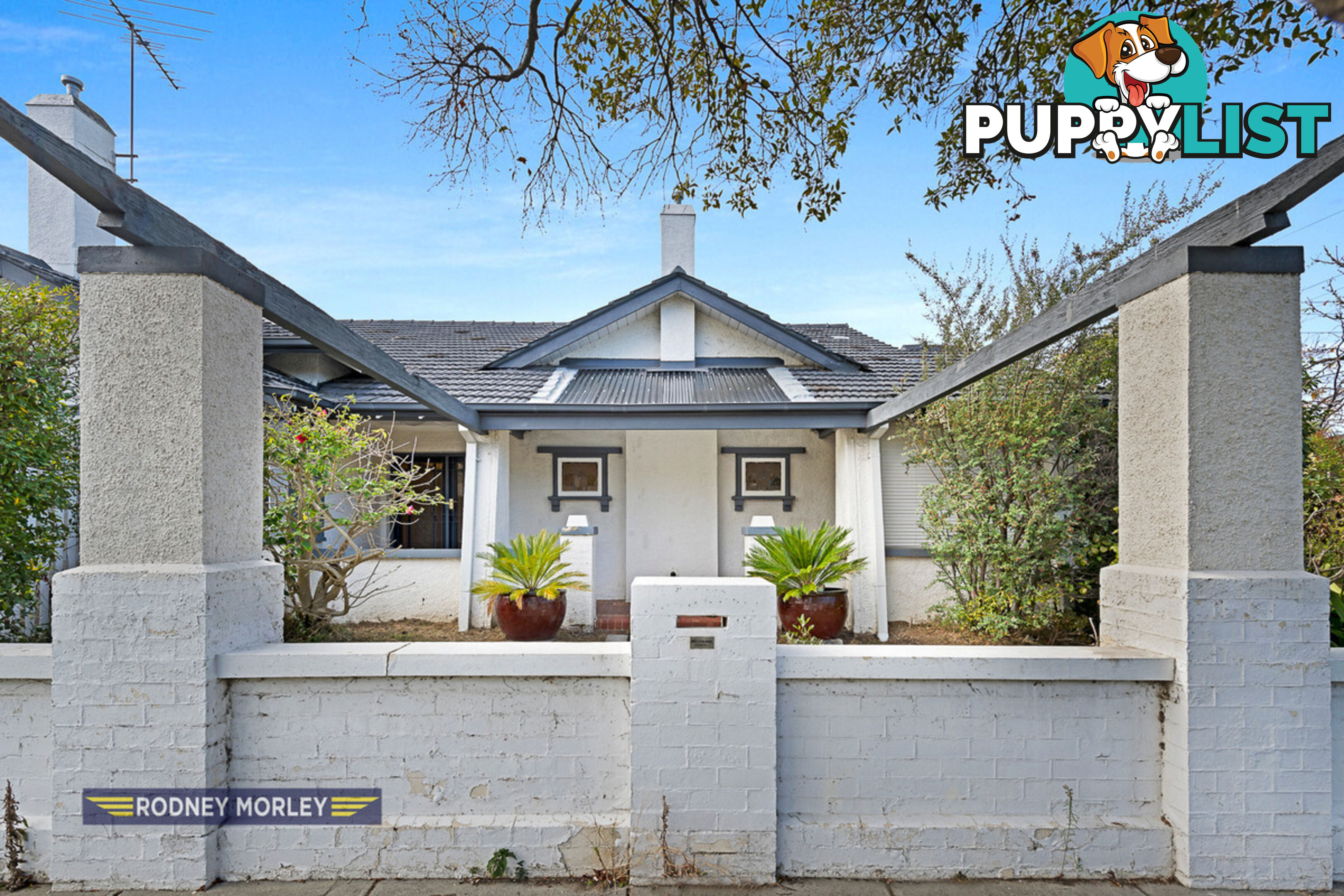 385 Glen Eira Road CAULFIELD NORTH VIC 3161