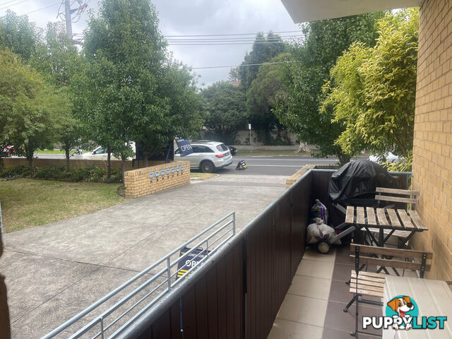 13 647 Inkerman Road Caulfield North VIC 3161