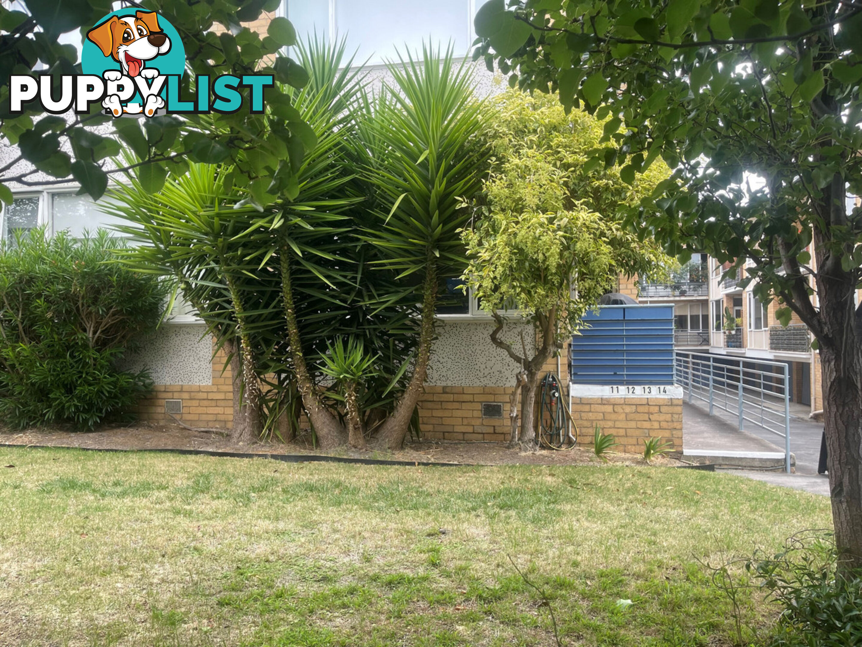 13 647 Inkerman Road Caulfield North VIC 3161