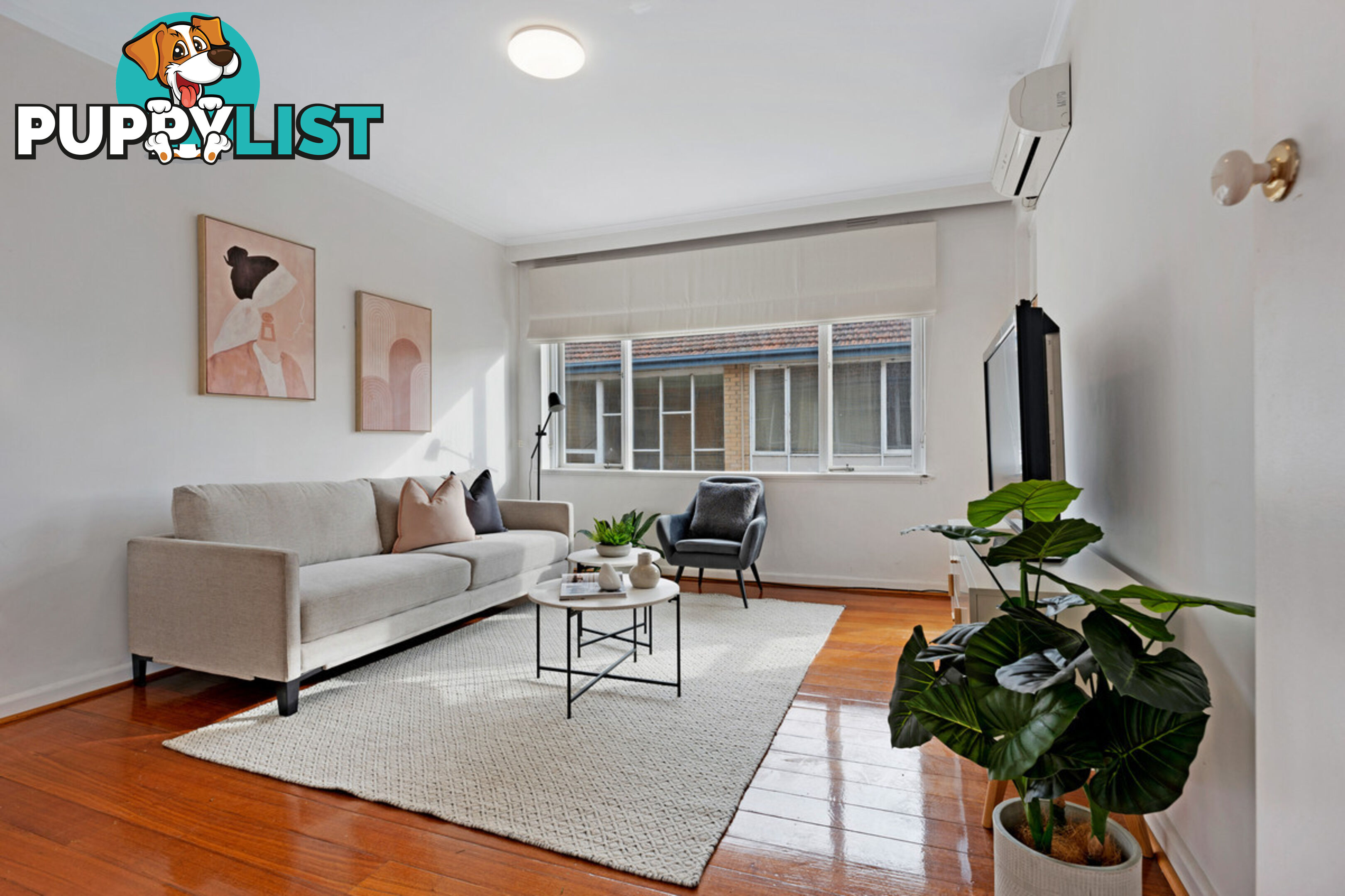 13 647 Inkerman Road Caulfield North VIC 3161