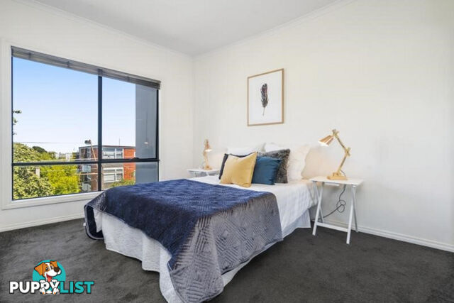 17 194 Alma Road St Kilda East VIC 3183