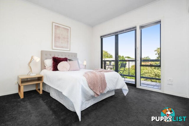 17 194 Alma Road St Kilda East VIC 3183