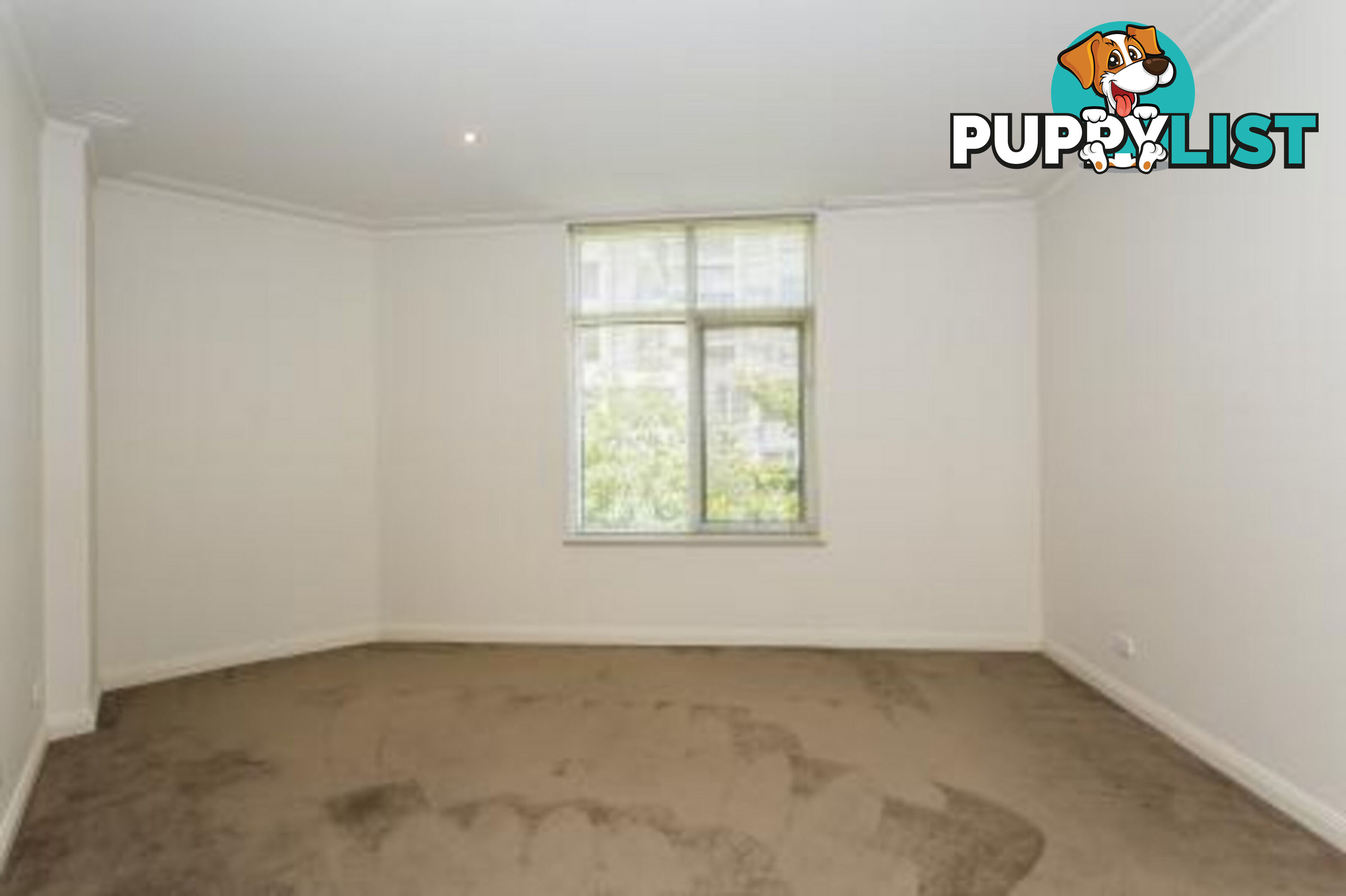 32 85 Alexandra Avenue SOUTH YARRA VIC 3141