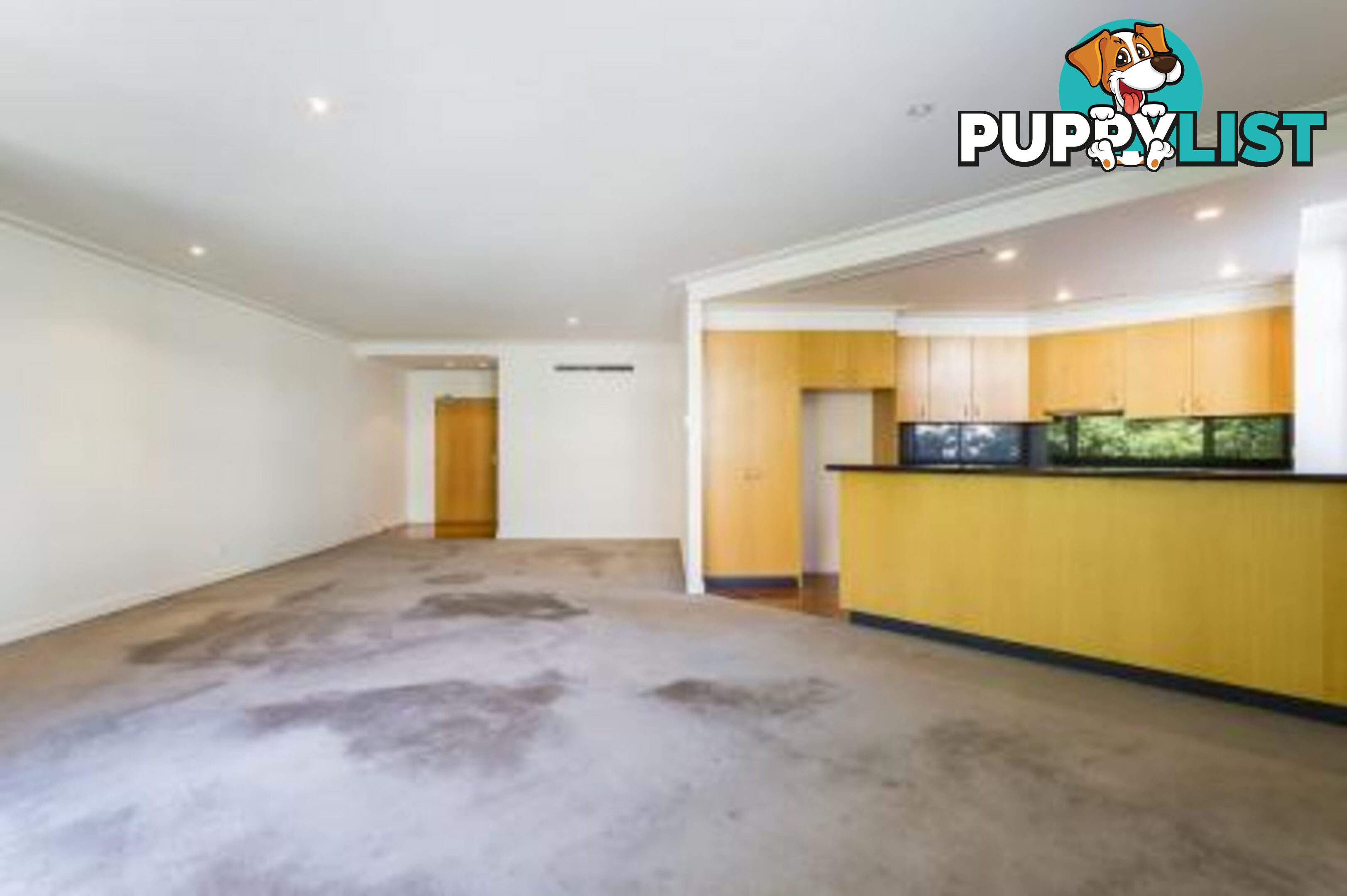32 85 Alexandra Avenue SOUTH YARRA VIC 3141