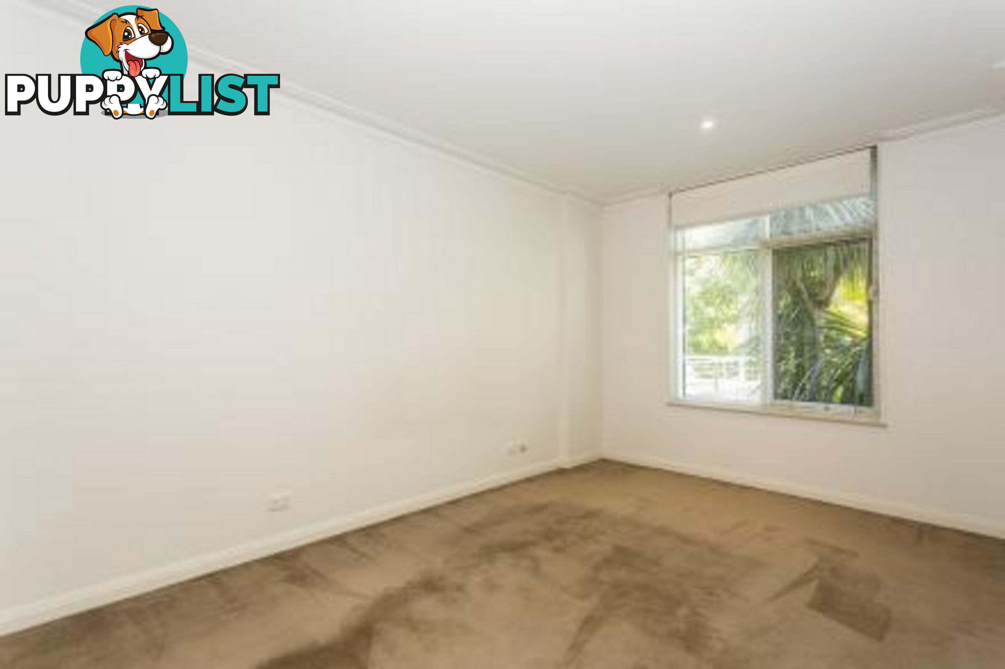 32 85 Alexandra Avenue SOUTH YARRA VIC 3141