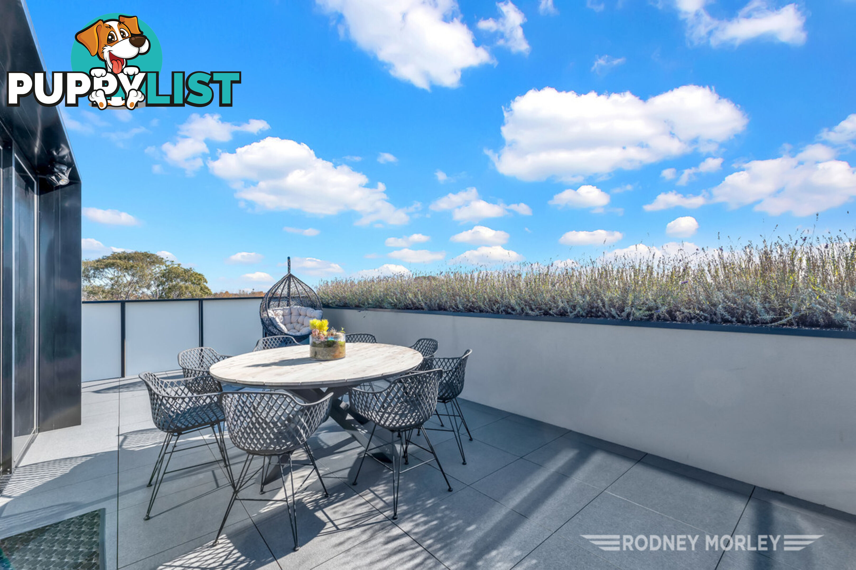 401 551 Dandenong Road Armadale VIC 3143