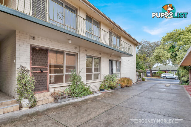 2 26 Eumeralla Road Caulfield South VIC 3162