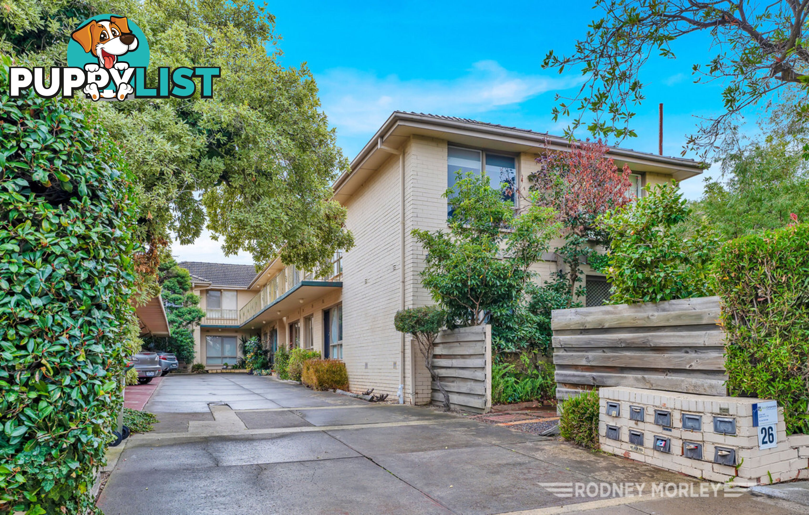 2 26 Eumeralla Road Caulfield South VIC 3162