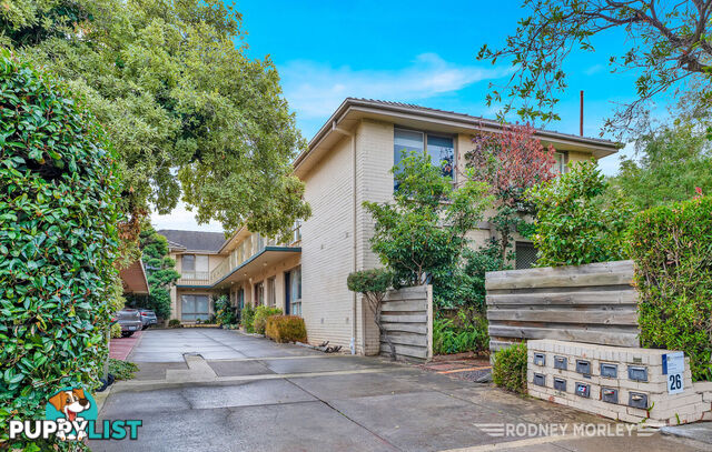 2 26 Eumeralla Road Caulfield South VIC 3162