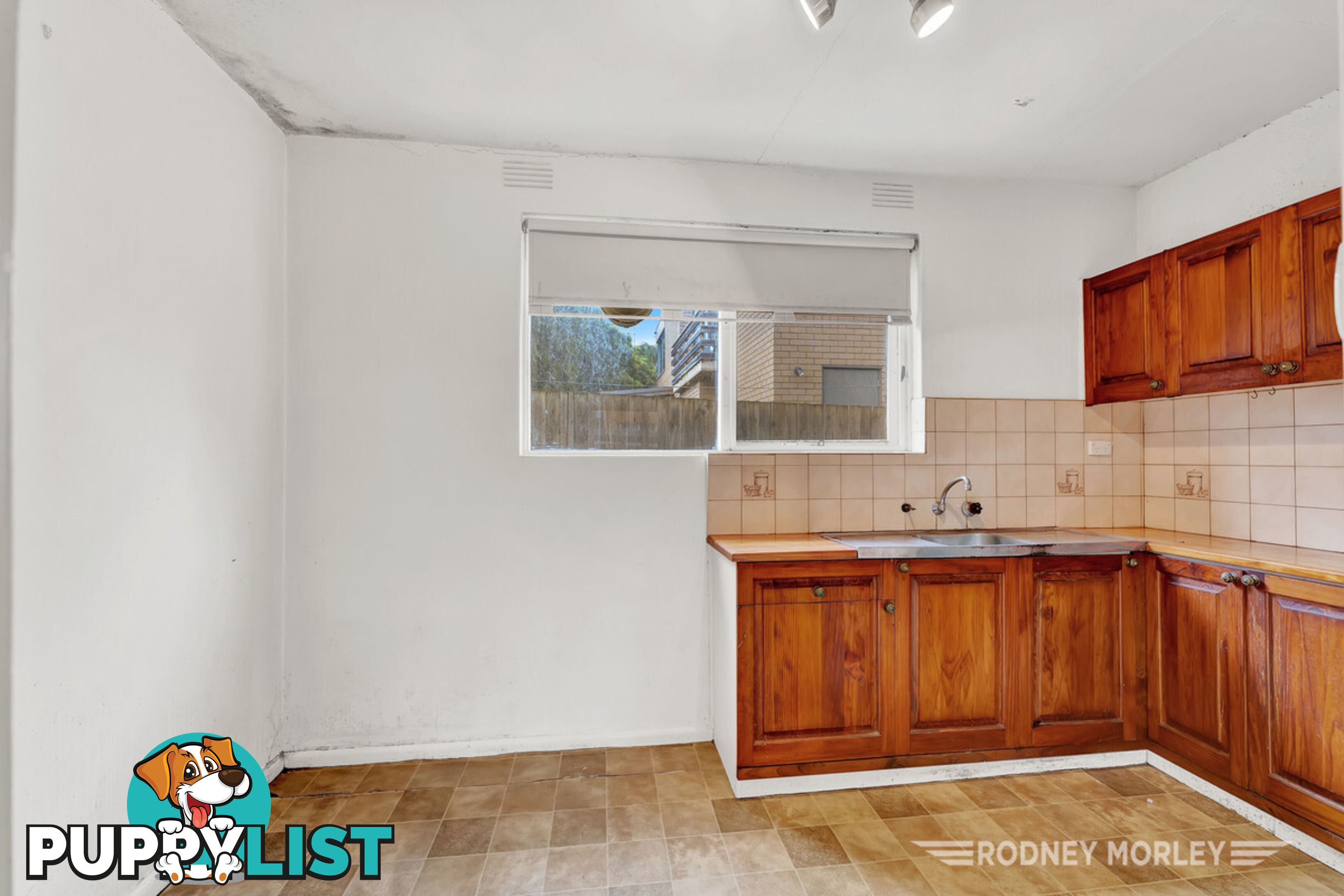 2 26 Eumeralla Road Caulfield South VIC 3162