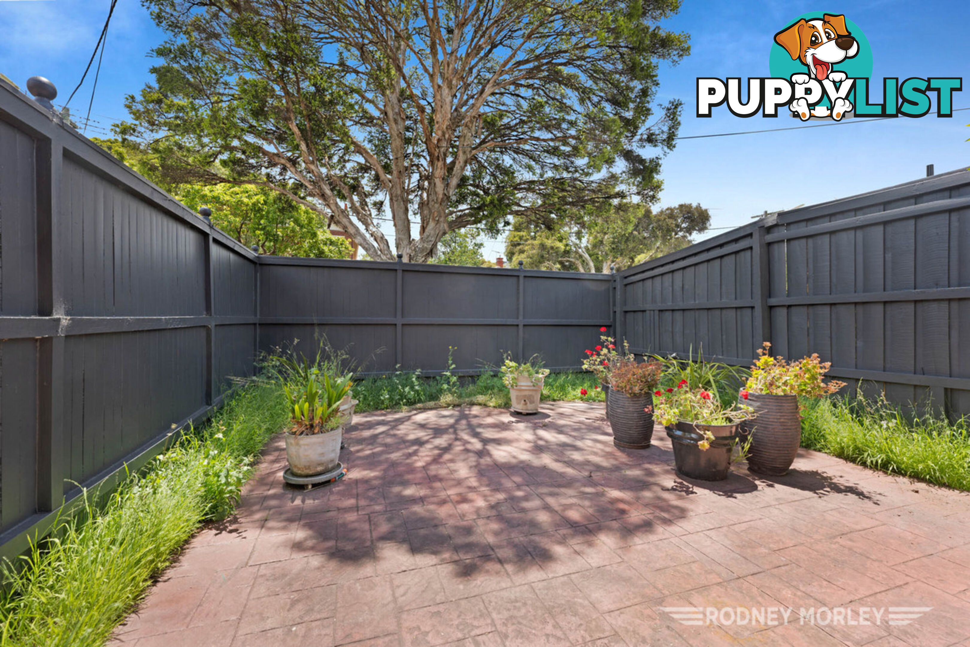 12 Norwood Road Caulfield North VIC 3161