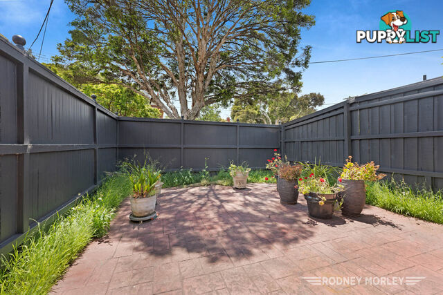 12 Norwood Road Caulfield North VIC 3161