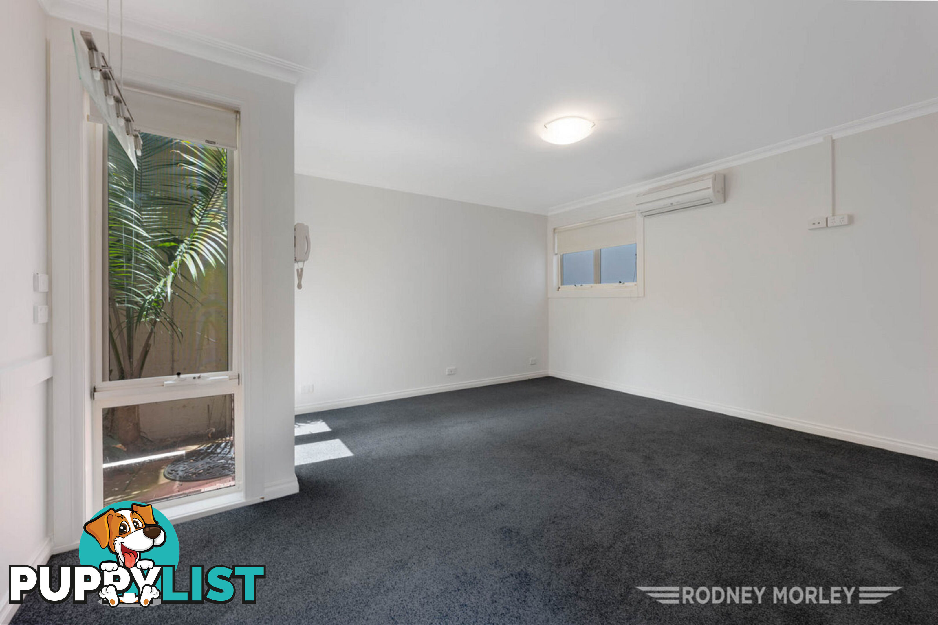 12 Norwood Road Caulfield North VIC 3161