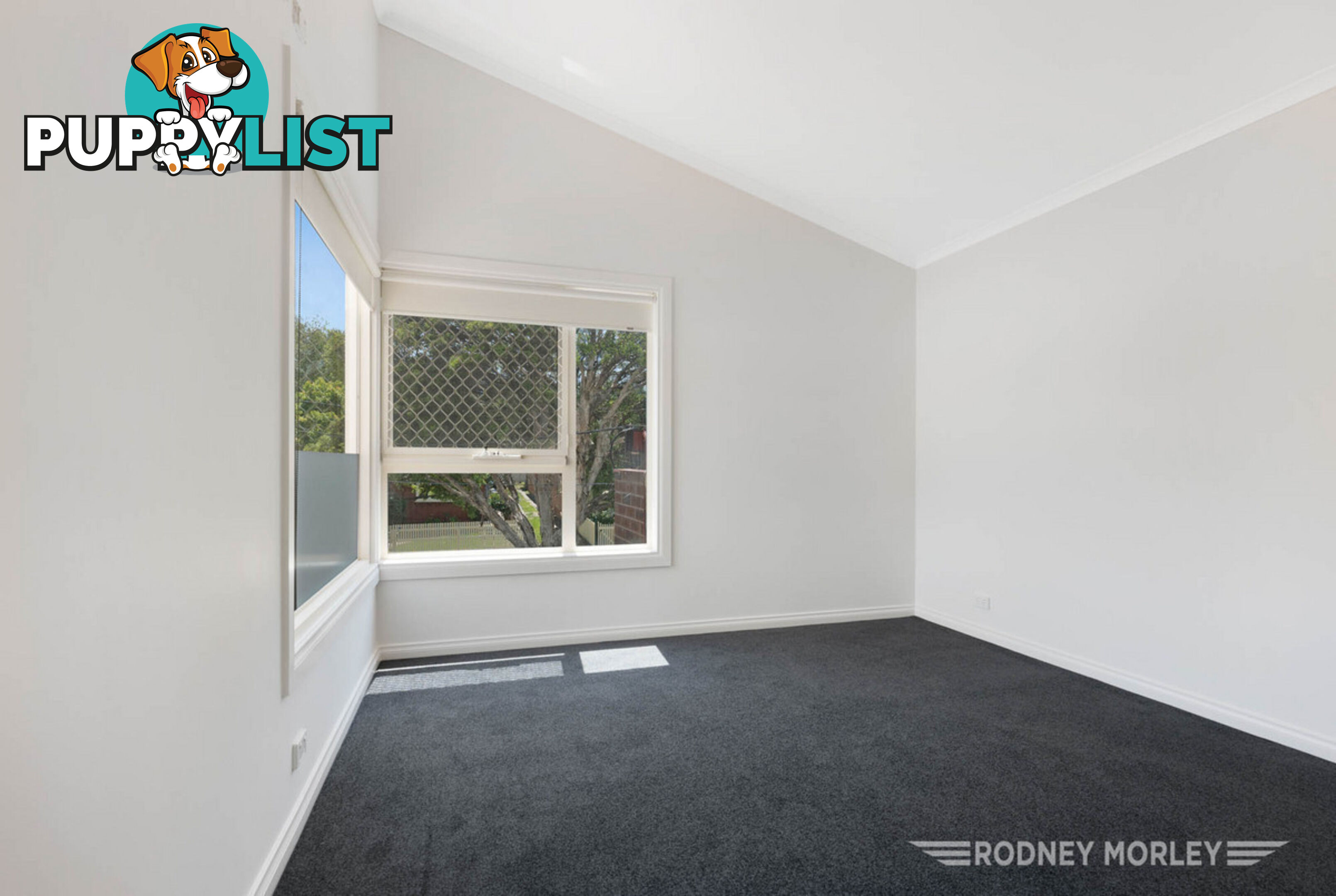 12 Norwood Road Caulfield North VIC 3161