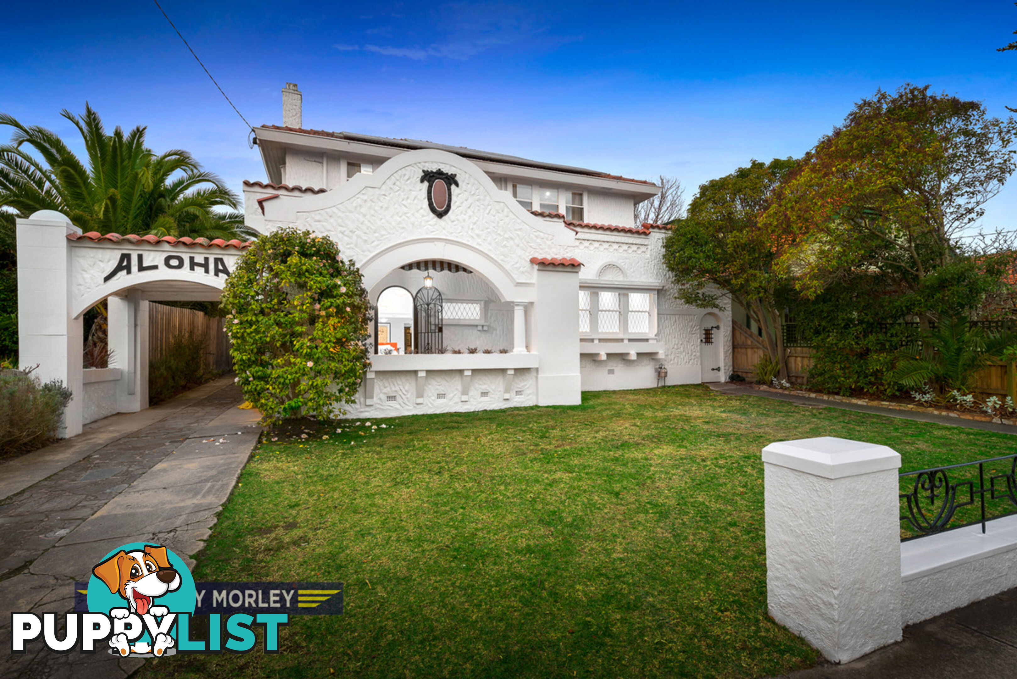 36 St Georges Road Elsternwick VIC 3185
