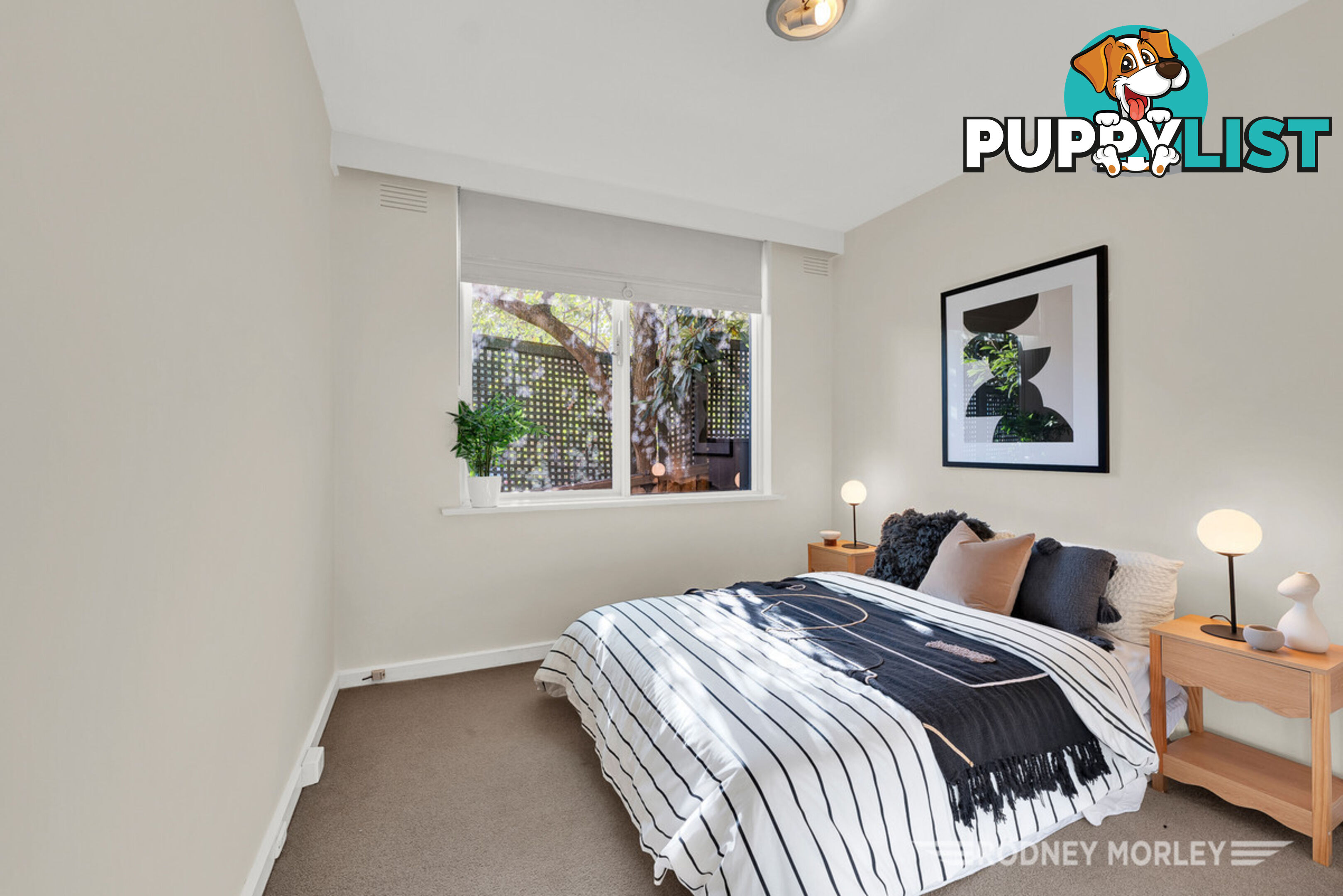 2 49 Grange Road Toorak VIC 3142