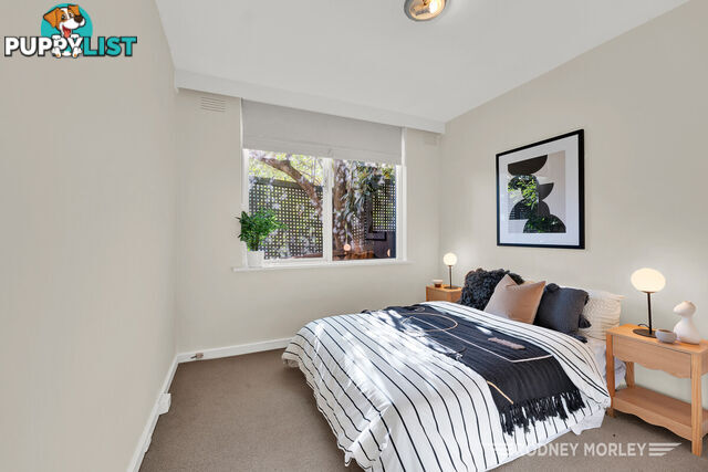 2 49 Grange Road Toorak VIC 3142
