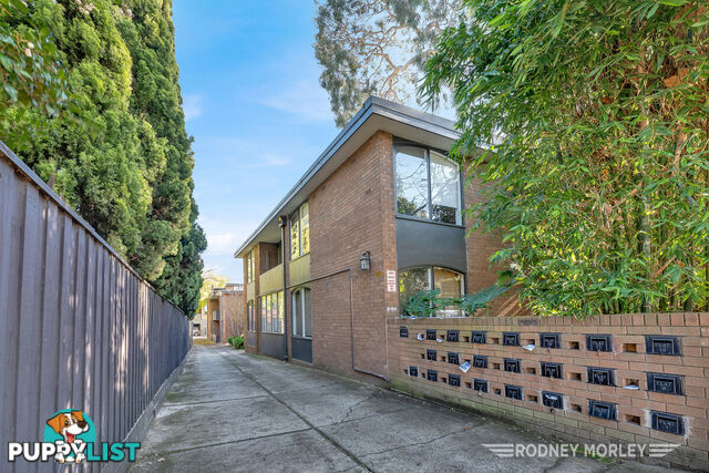 2 49 Grange Road Toorak VIC 3142