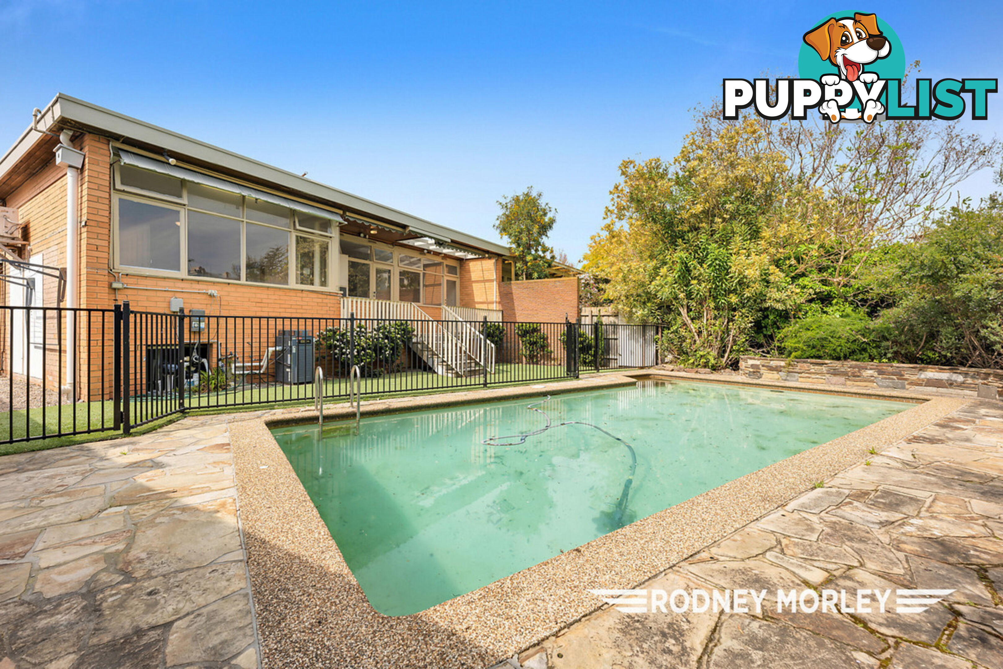 24 Ercildoune Street Caulfield North VIC 3161