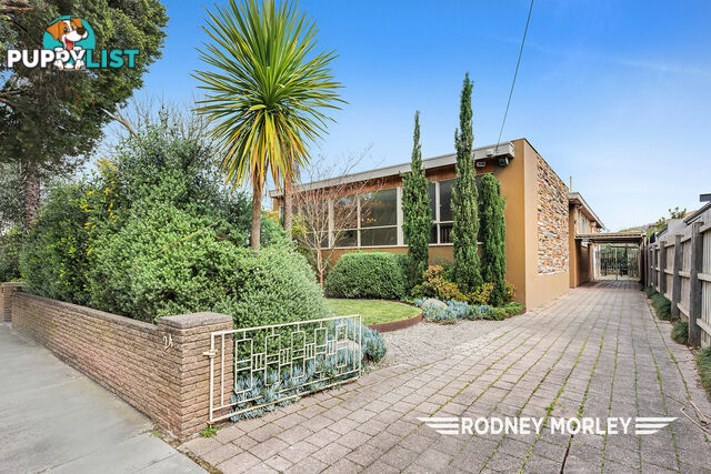 24 Ercildoune Street Caulfield North VIC 3161