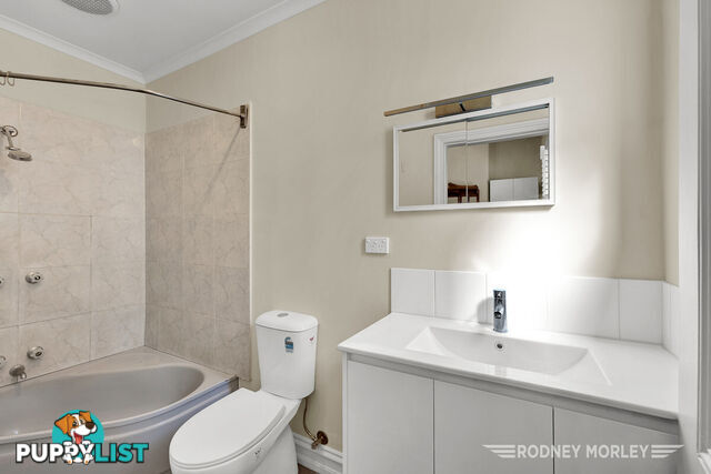 87 Normanby Road Caulfield North VIC 3161