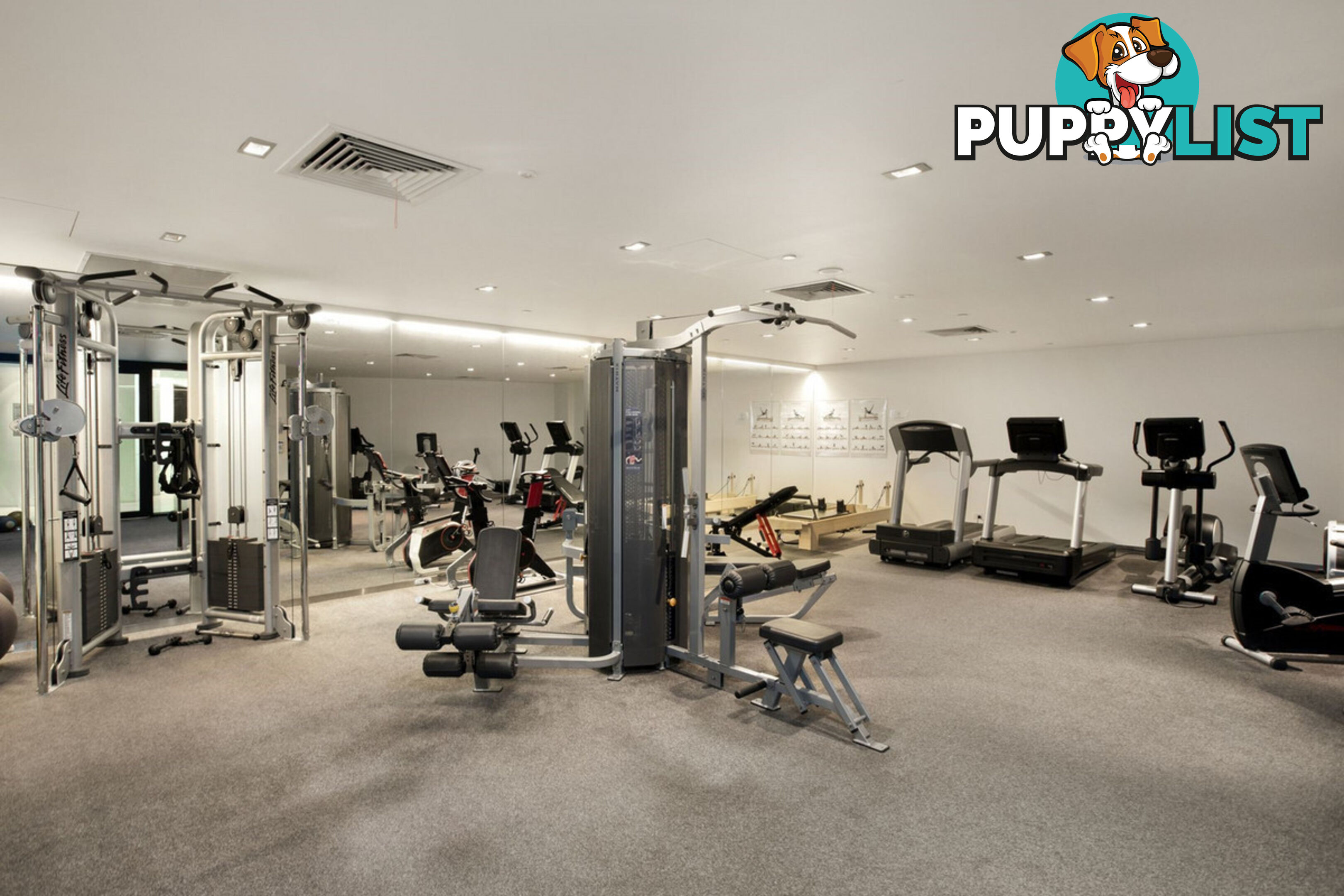 212 6 Victoria Street ST KILDA VIC 3182