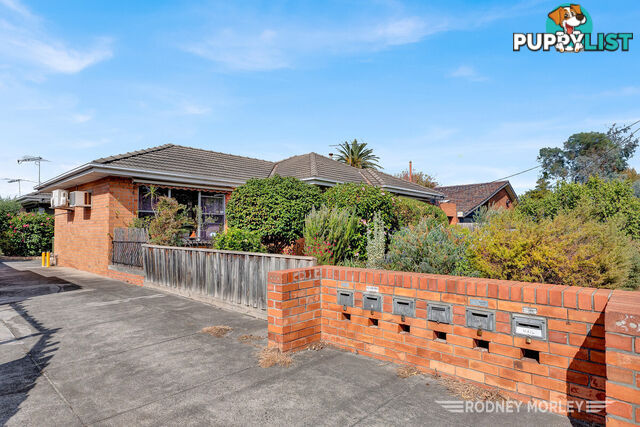 1 28 Parkside Street ELSTERNWICK VIC 3185