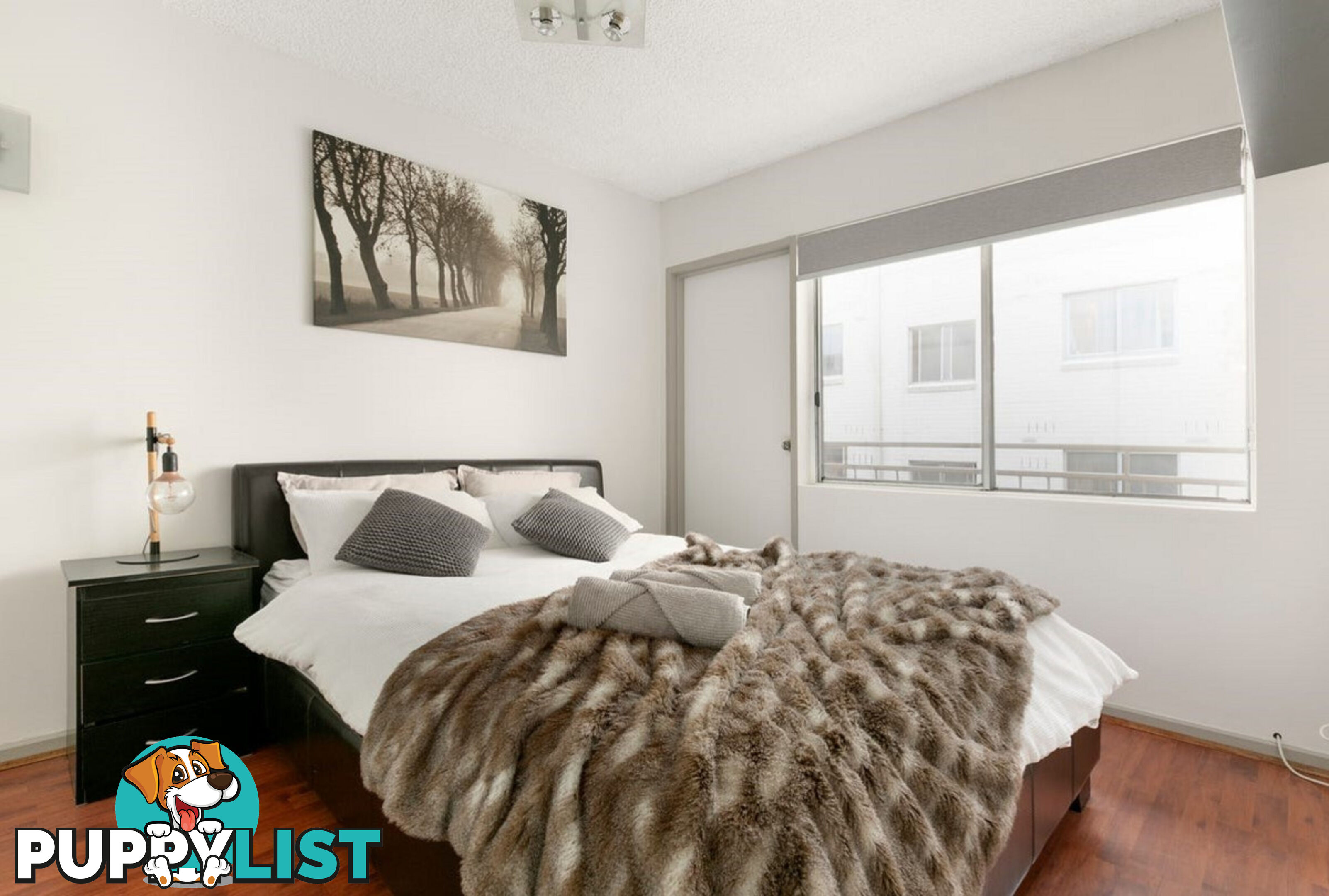 26 250 Dandenong Road St Kilda East VIC 3183
