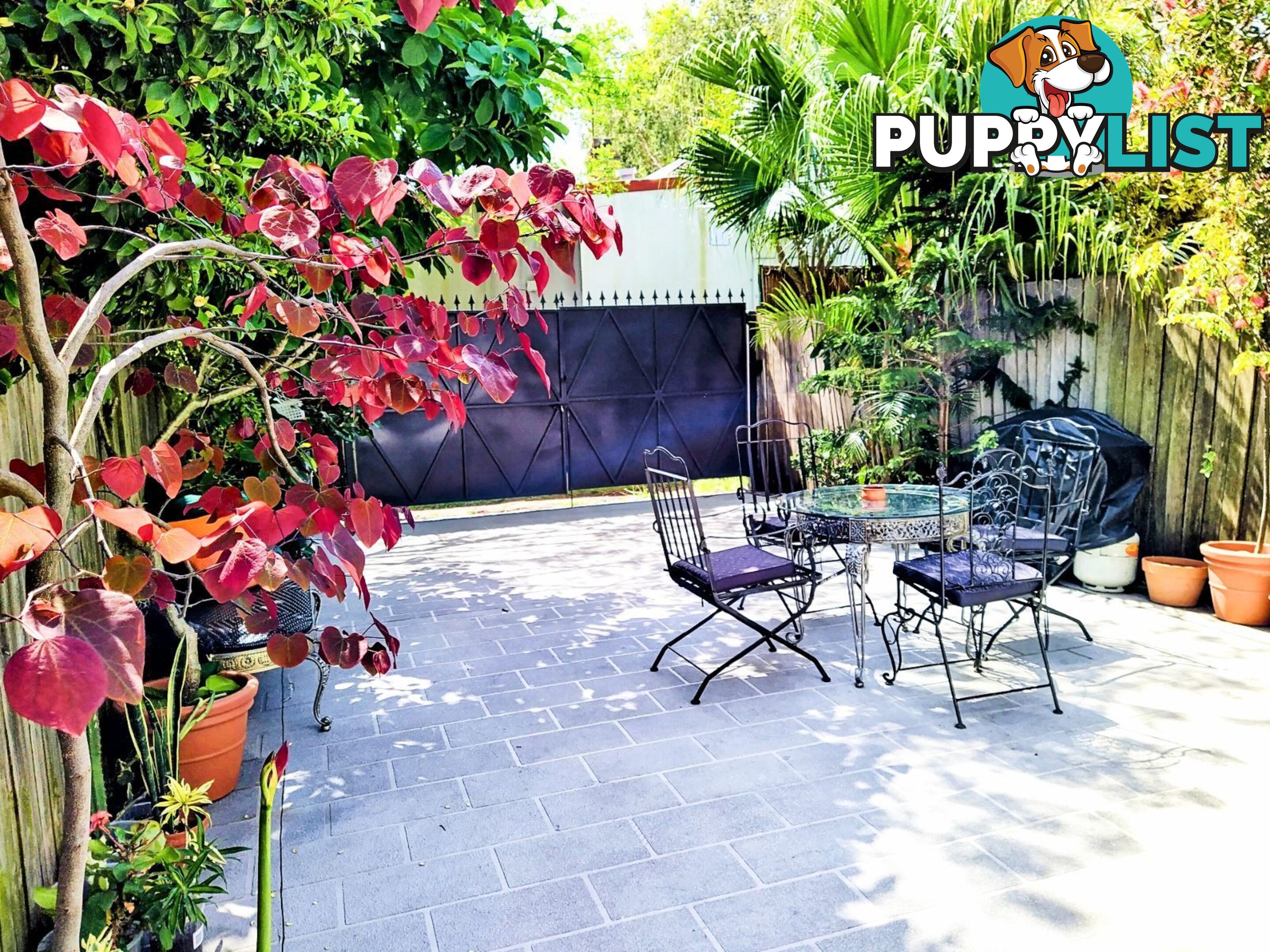 Stunning Fully Furnished 4 Bed Home In Newtown- Short And long Stays  Stays