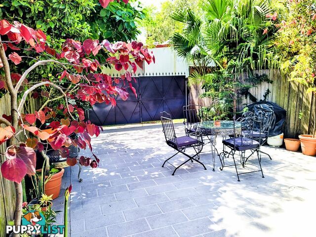 Stunning Fully Furnished 4 Bed Home In Newtown- Short And long Stays  Stays