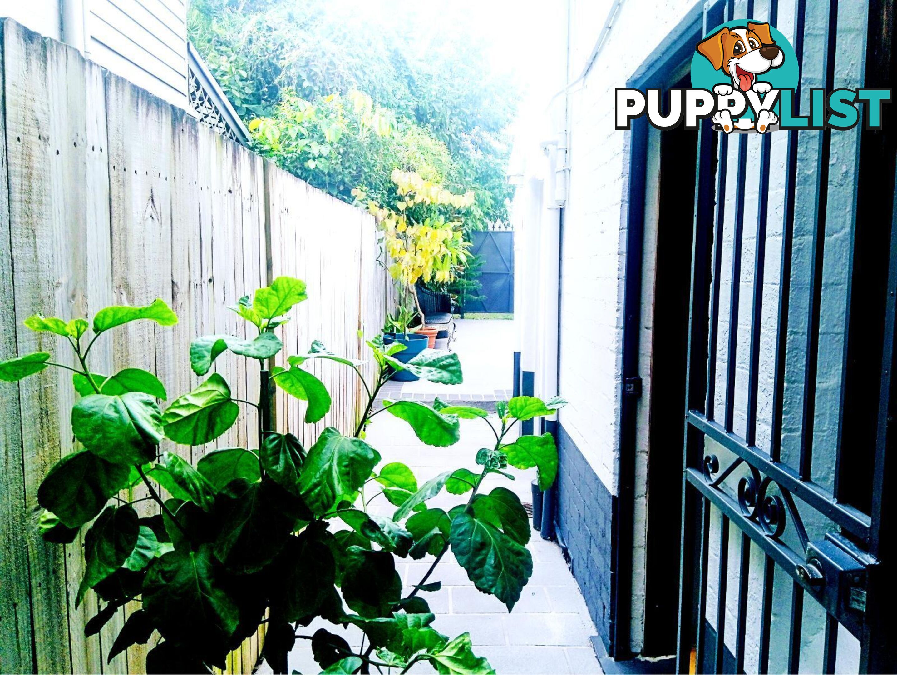 Stunning Fully Furnished 4 Bed Home In Newtown- Short And long Stays  Stays