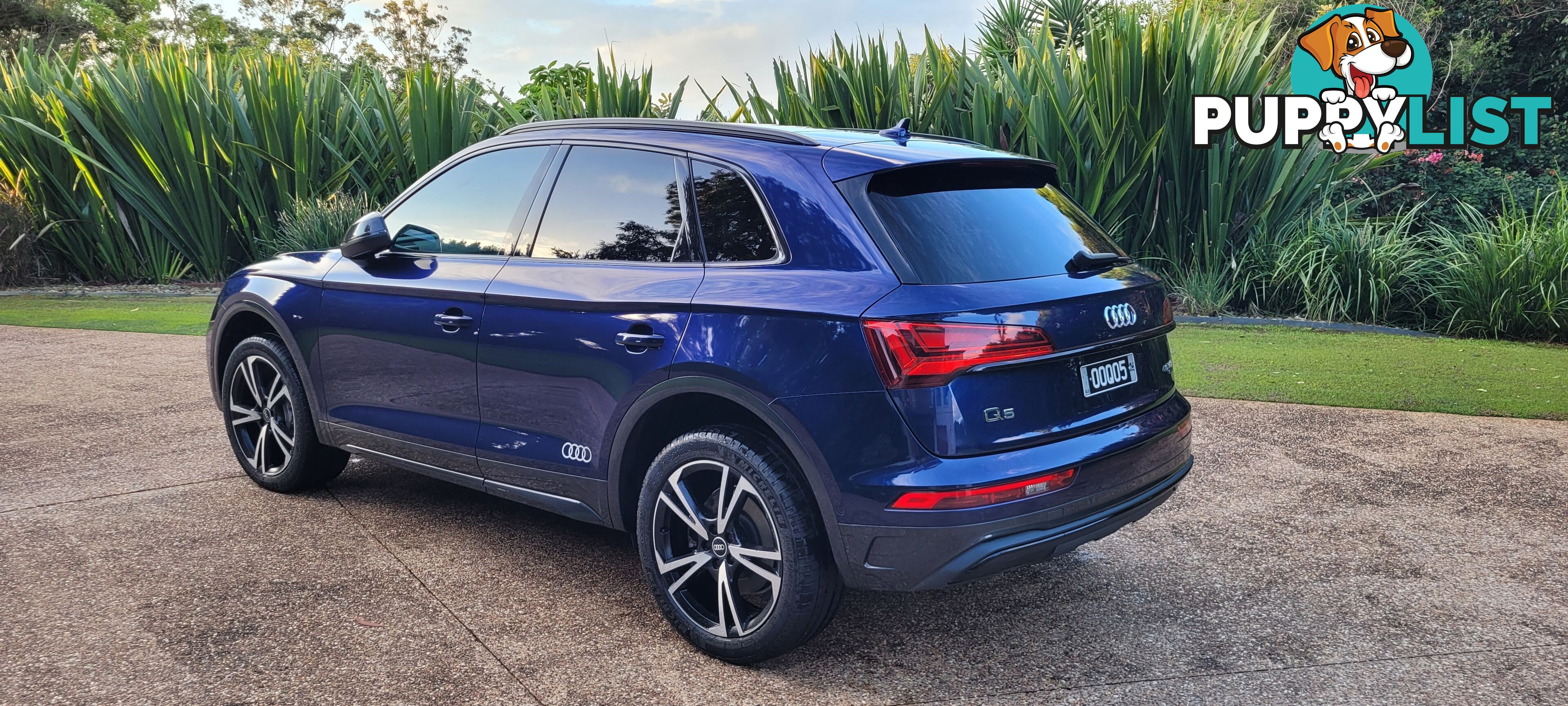 2021 Audi Launch Edition Q5 TFSI 45 SUV Automatic