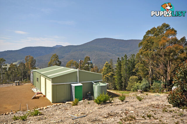 370 Lower Swamp Road LACHLAN TAS 7140