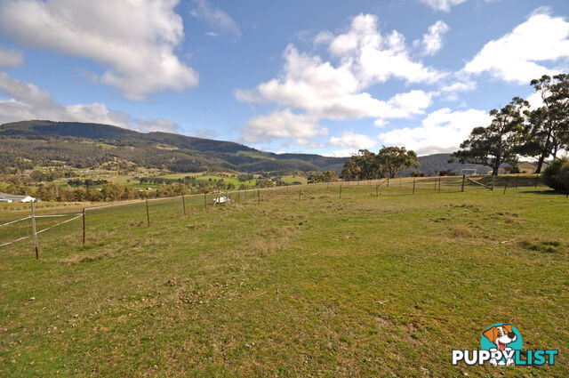 59 Menzies Road LACHLAN TAS 7140