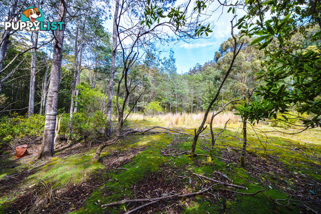 4895 Arthur Highway EAGLEHAWK NECK TAS 7179