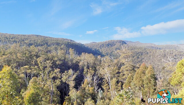 Lot 1 Braslins Road BLACK HILLS TAS 7140