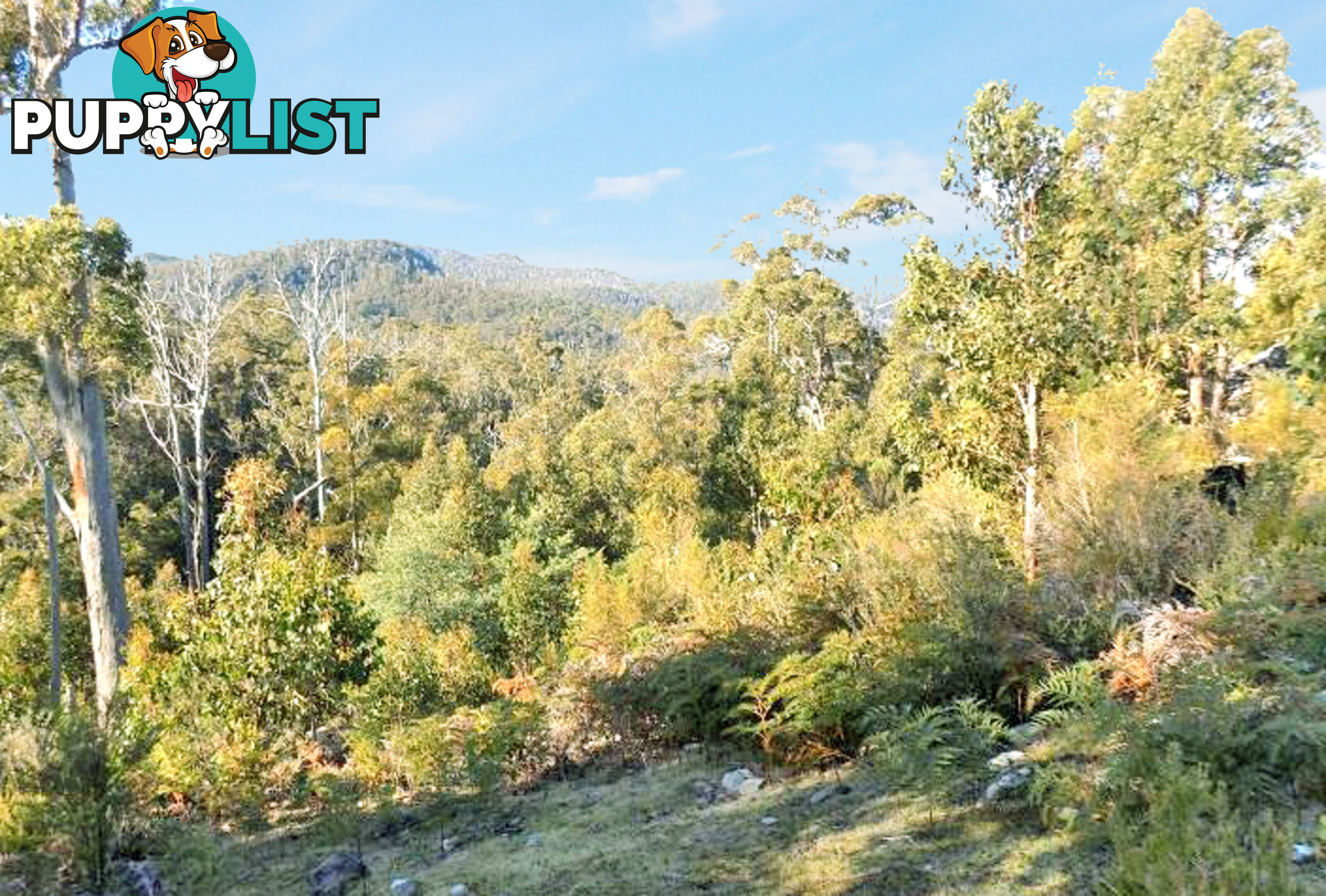 Lot 1 Braslins Road BLACK HILLS TAS 7140