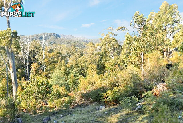 Lot 1 Braslins Road BLACK HILLS TAS 7140