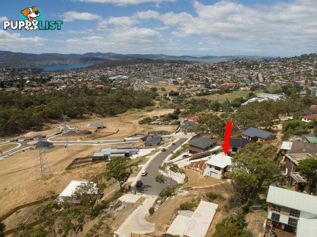 12 Rushwood Court LENAH VALLEY TAS 7008